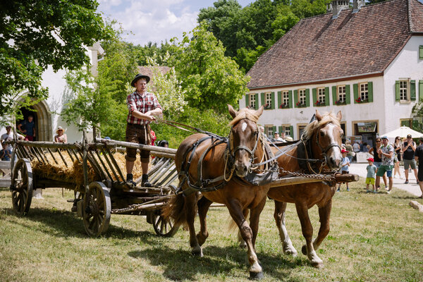 Bild vergr&ouml;&szlig;ern: Fuhrmannstag Freilichtmuseum